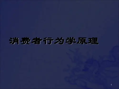 《消费者行为学原理》PPT课件_OK