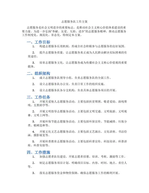 志愿服务队工作方案