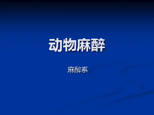 实验动物的麻醉