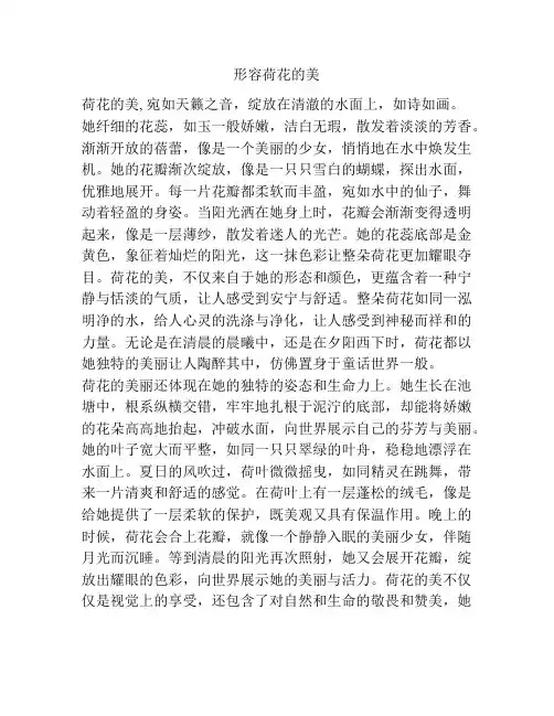 形容荷花的美