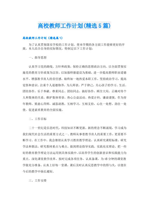 高校教师工作计划(精选5篇)