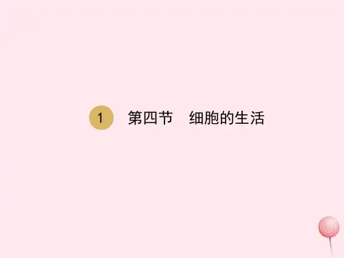 七年级生物上册第二单元第一章第四节细胞的生活课件(新版)新人教版