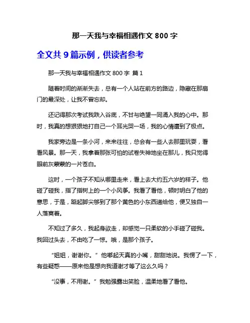 那一天我与幸福相遇作文800字