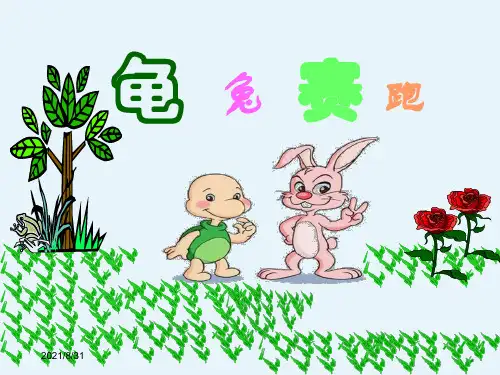 《龟兔赛跑》PPT课件