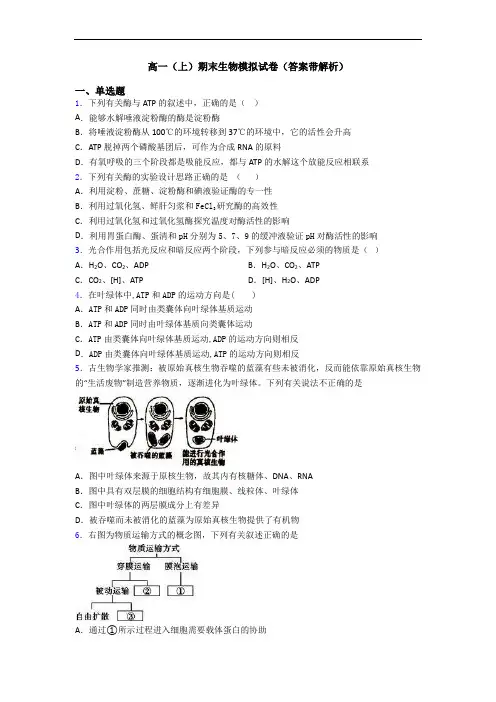 高一(上)期末生物模拟试卷(答案带解析)
