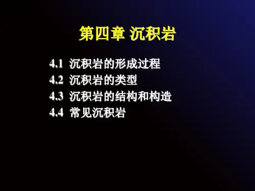 沉积岩PPT课件