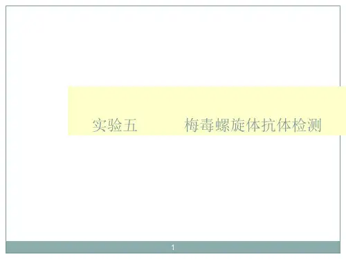 梅毒ppt课件