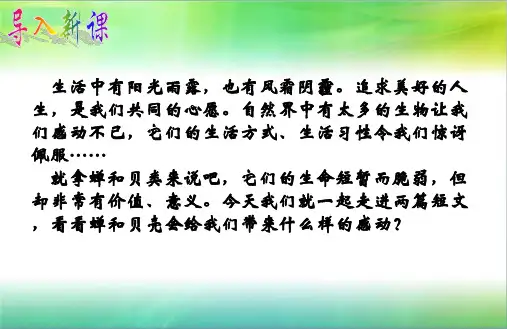 短文两篇《蝉》《贝壳》pptx课件(28页)