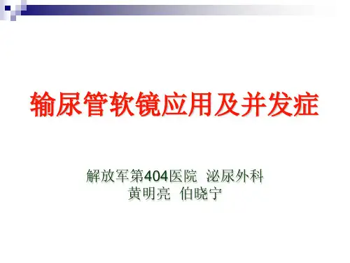 输尿管软镜应用及并发症最终版