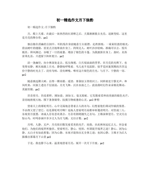 初一精选作文月下独酌