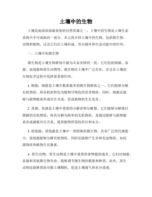 土壤中的生物