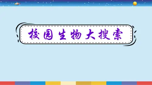 《校园生物大搜索》PPT教学课件
