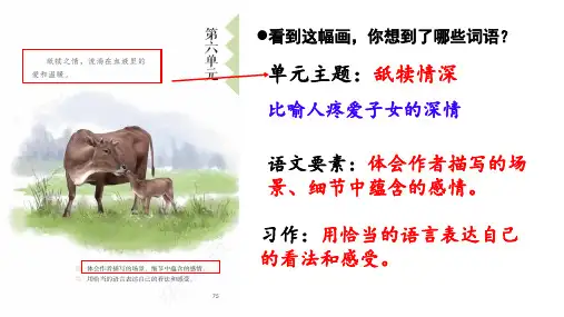慈母情深-ppt课件