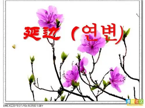 延边风景民情介绍