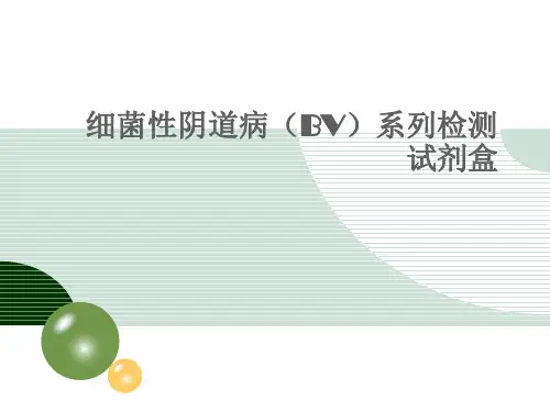 BV试剂盒培训 ppt课件