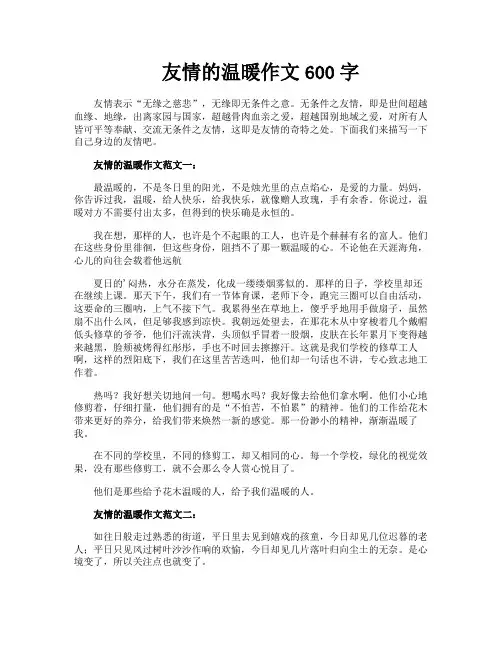 友情的温暖作文600字
