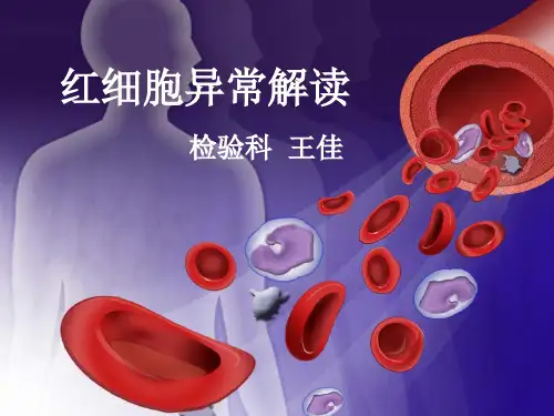 红细胞异常解读