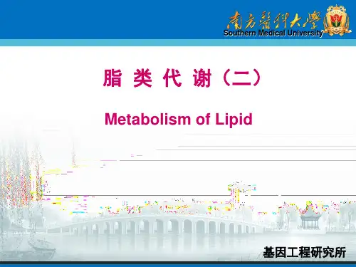 生物化学课件：脂类代谢(二)