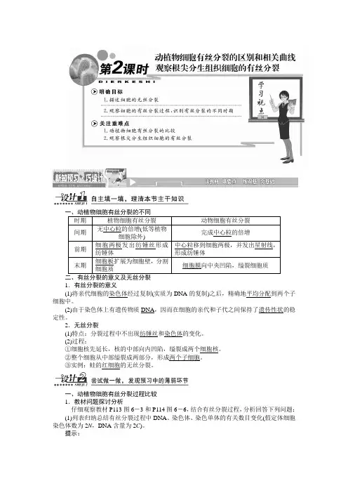 高中生物人教版必修一 第6章第1节动植物细胞有丝分裂的区别和相关曲线+观察根尖分生组织细胞的有丝分裂