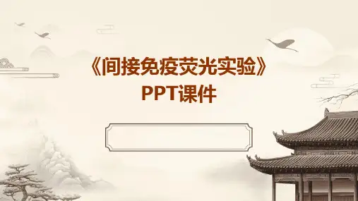 《间接免疫荧光实验》课件