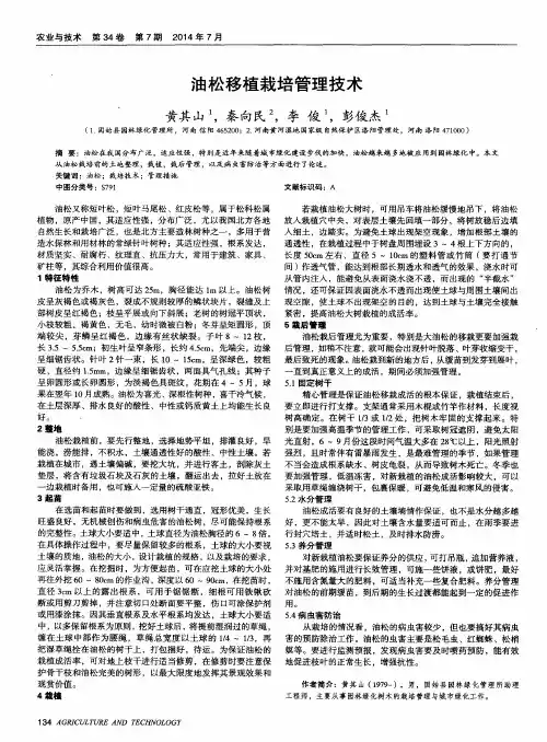 油松移植栽培管理技术
