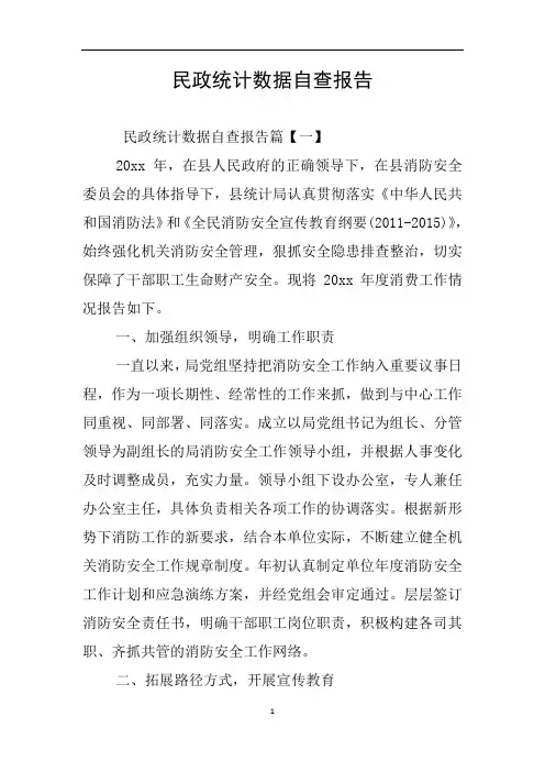 民政统计数据自查报告