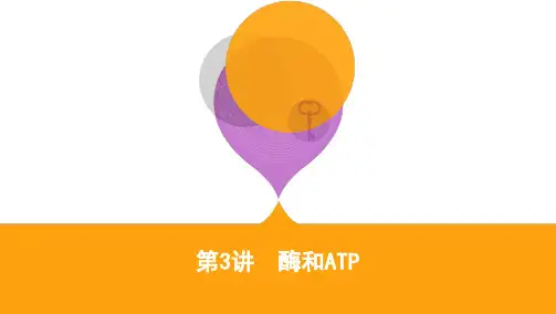 第3讲 酶和ATP 课件 (44张ppt)2021届高三新高考生物二轮复习