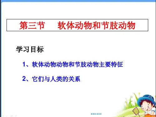 人教版 八年级上册 生物 第五单元 第一章 第三节 《软体动物和节肢动物》课件
