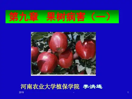 植物病理学ppt课件