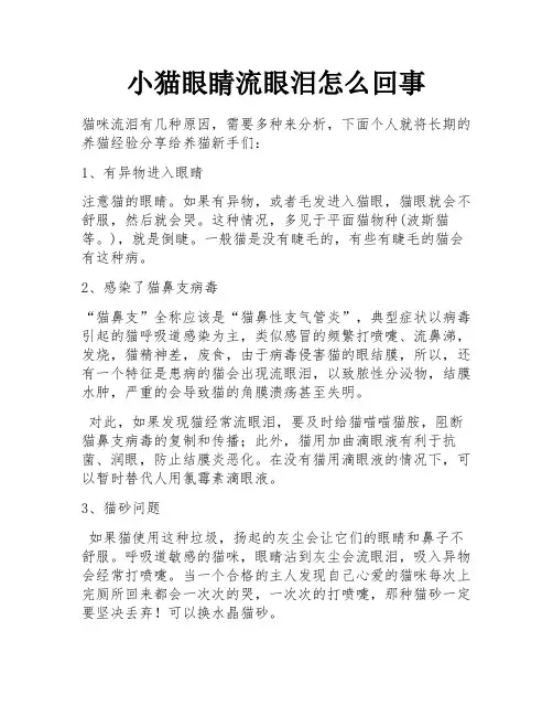 小猫眼睛流眼泪怎么回事