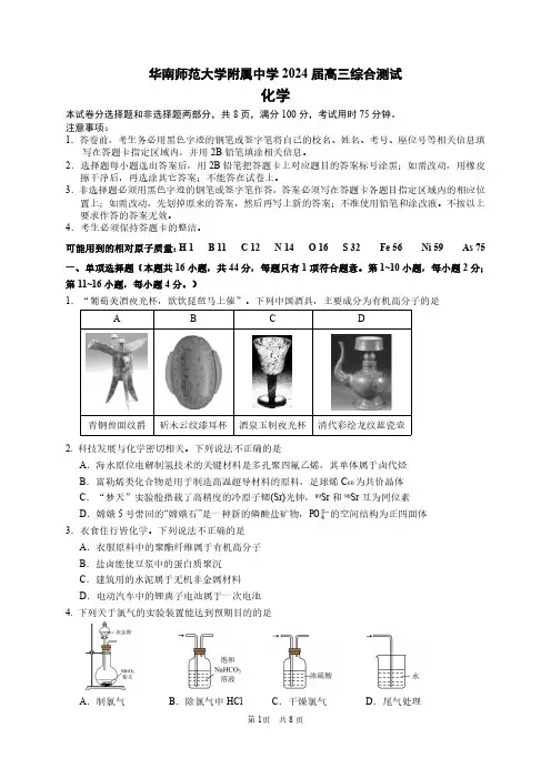 2024年广东省华南师范大学附属中学高三综合测试(三)化学试题