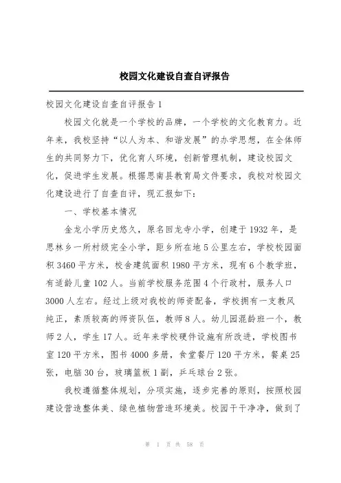 校园文化建设自查自评报告