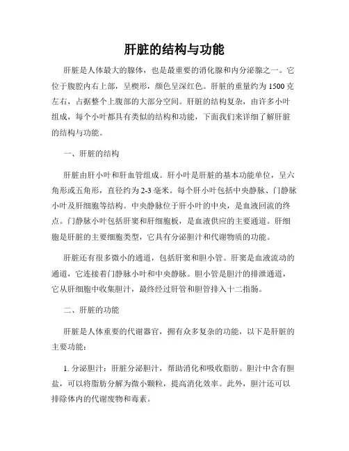 肝脏的结构与功能