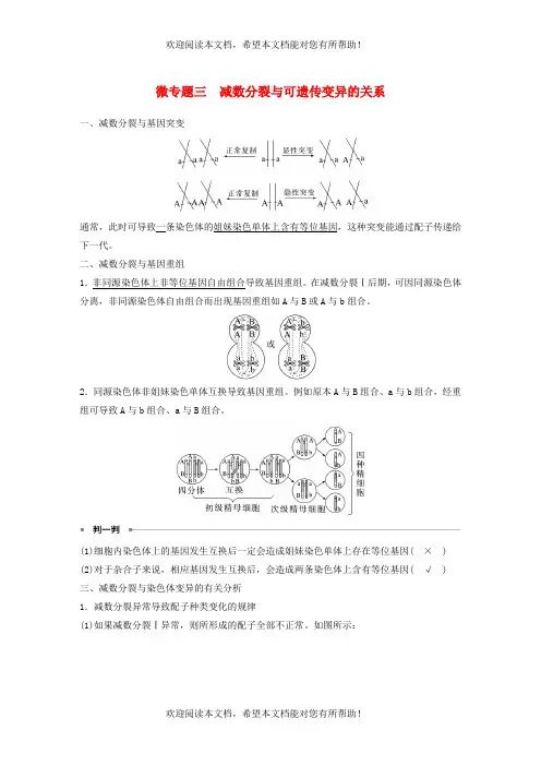 新高考2023届高考生物一轮复习讲义第4单元微专题三减数分裂与可遗传变异的关系新人教版