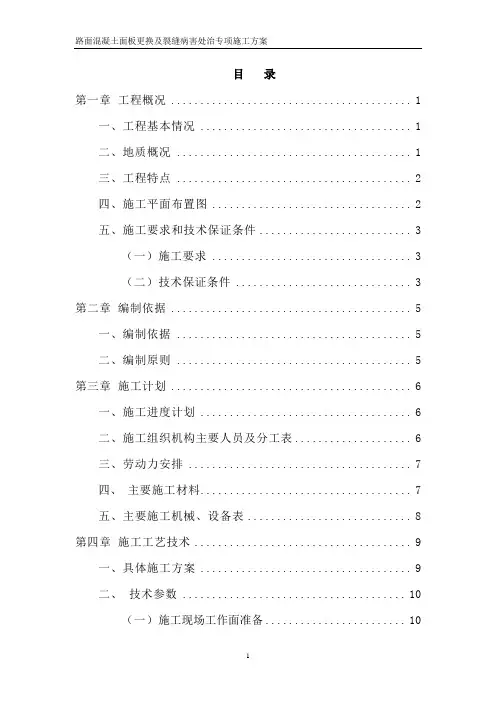 混凝土面板更换专项施工方案