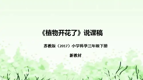 苏教版三年级科学下册1.3《植物开花了》说课课件