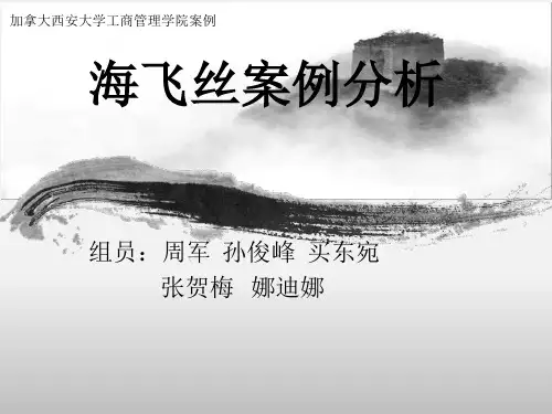 海飞丝案例分析报告