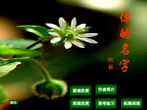 你的名字_课件.ppt