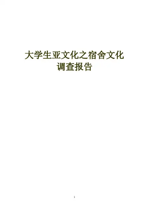大学生亚文化调查报告