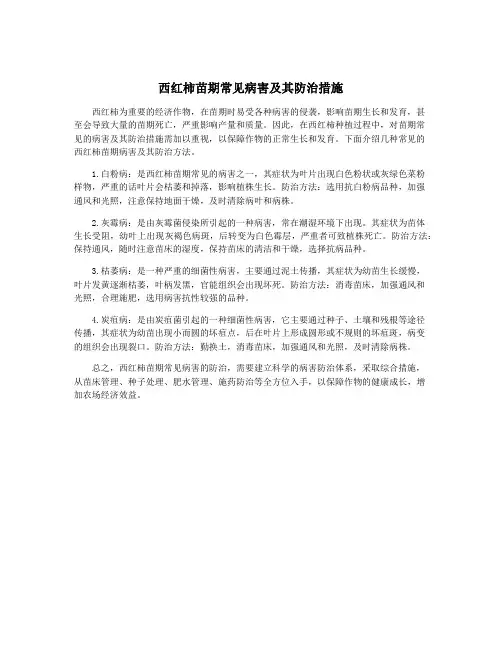 西红柿苗期常见病害及其防治措施