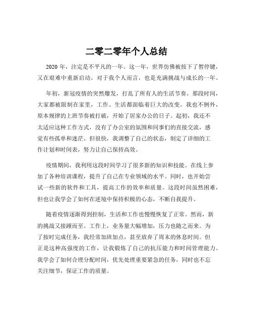 二零二零年个人总结