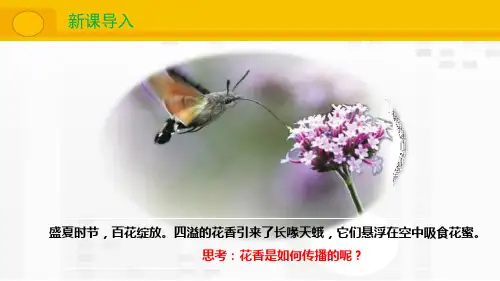分子热运动 ppt课件