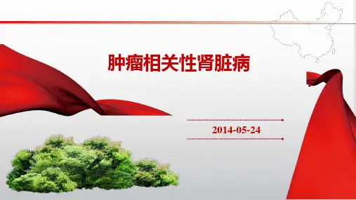 肿瘤相关性肾脏病PPT课件
