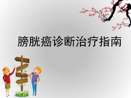 膀胱癌诊断治疗指南ppt课件