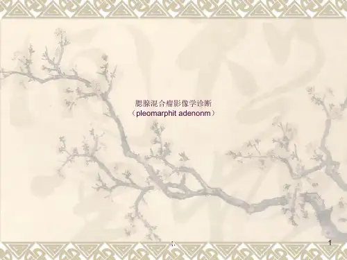 腮腺混合瘤影像诊断ppt课件
