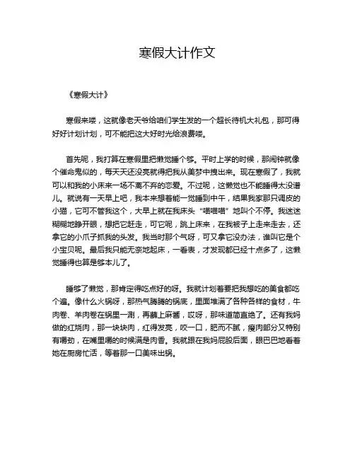 寒假大计作文
