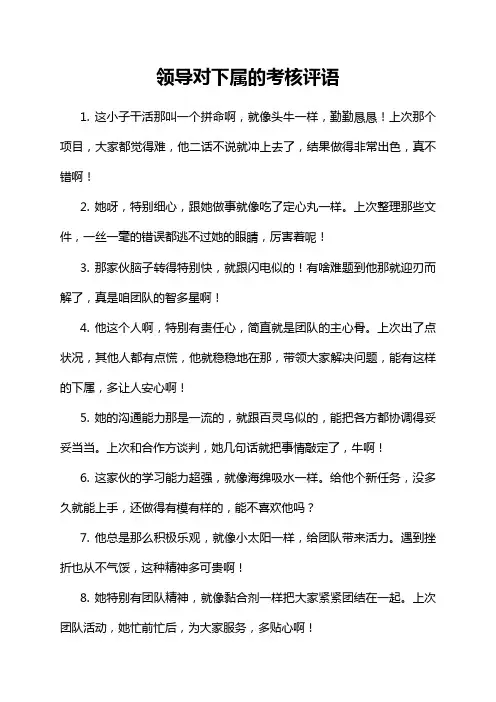 领导对下属的考核评语