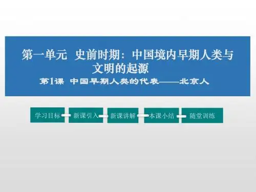 人教版七年级历史上册1.1中国早期人类的代表——北京人