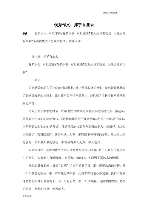 优秀作文：挥手自兹去