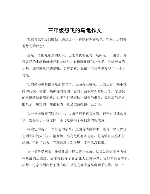 三年级想飞的乌龟作文